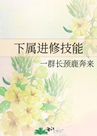 下属进修技能