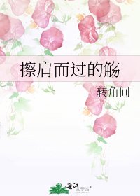 擦肩而过的觞