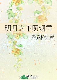 明月之下照烟雪