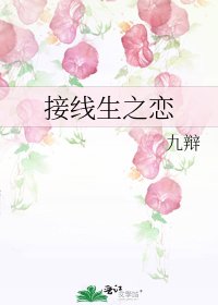 接线生之恋
