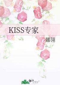 KISS专家