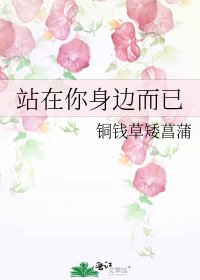 《站在你身边而已》
