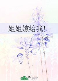姐姐嫁给我！