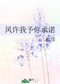 风许我予你承诺