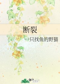 《断裂》