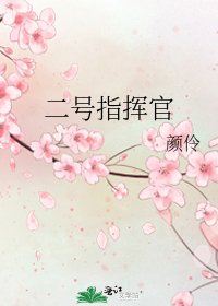 二号指挥官