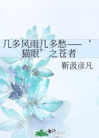 几多风雨几多愁——‘猫眼’之苍者