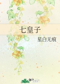 《七皇子》