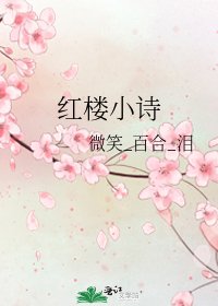 《红楼小诗》