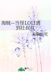 海贼—当怪LOLI遇到壮叔叔