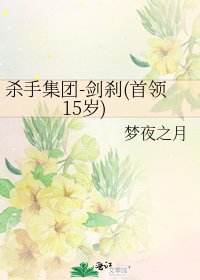 杀手集团-剑刹(首领15岁)