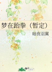 《梦在跆拳(暂定)》