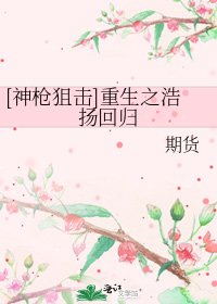 [神枪狙击]重生之浩扬回归