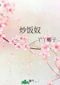炒饭奴