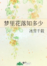 梦里花落知多少