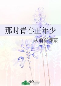 那时青春正年少