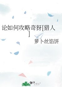 论如何攻略奇犽[猎人]