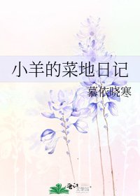 小羊的菜地日记