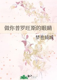 做你普罗旺斯的眼睛