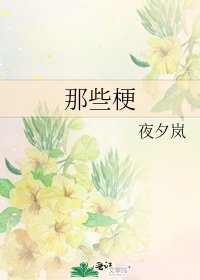 那些梗