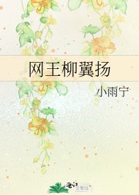 《网王柳翼扬》