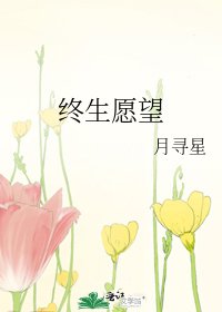 《终生愿望》