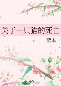 《关于一只猫的死亡》