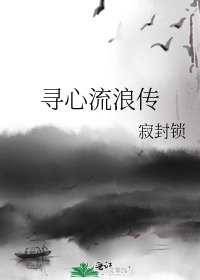 《寻心流浪传》
