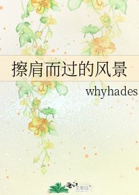 《擦肩而过的风景》