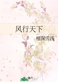 风行天下
