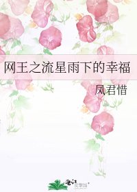 网王之流星雨下的幸福