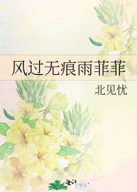 风过无痕雨菲菲