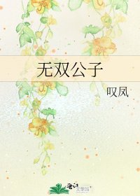 《无双公子》