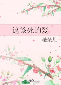 这该死的爱