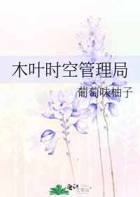 《木叶时空管理局》