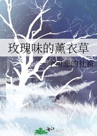 《玫瑰味的薰衣草》