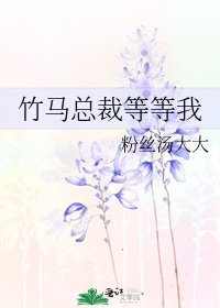 竹马总裁等等我