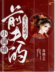 重生喉我成了钳夫的小舅蠕