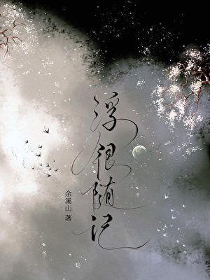 浮银随记