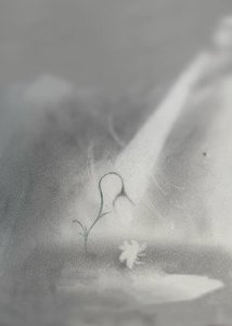 《光怪陆离》
