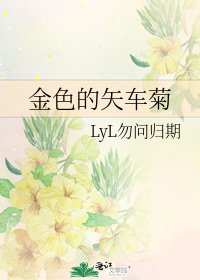 《金色的矢车菊》