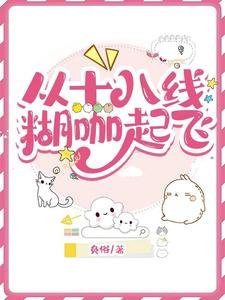 《从十八线糊咖起飞》