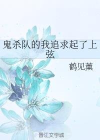 (鬼灭之刃同人)鬼杀队的我追求起了上弦