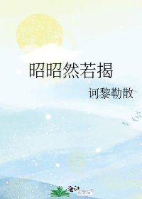 昭昭然若揭