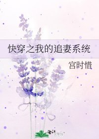 《快穿之我的追妻系统》