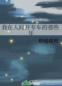 《我在人间开专车的那些年》