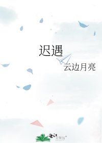 《迟遇》