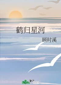 《鹤归星河》