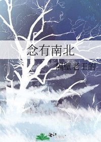 念有南北