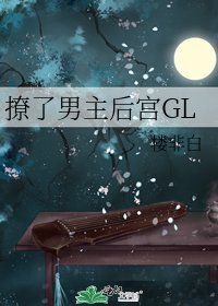 《撩了男主后宫GL》